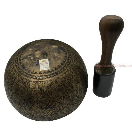 NCSB_2703 B