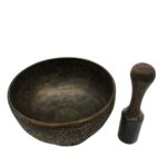 NCSB_2706 T
