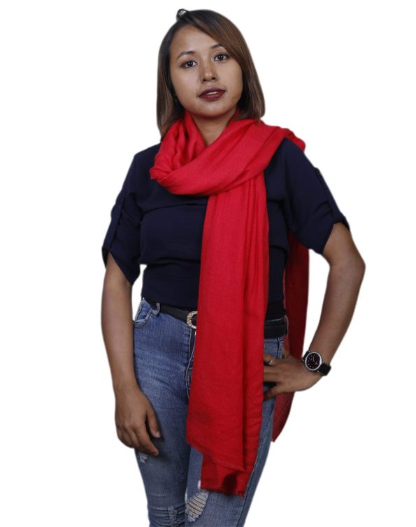 Handwoven Himalayan pashmina shawl